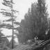 http_chronicle.tadl.org_history_import_Images_004_120309091206-10