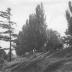 http_chronicle.tadl.org_history_import_Images_004_120309091206-10