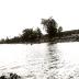 http_chronicle.tadl.org_history_import_Images_014_2684