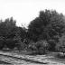 http_chronicle.tadl.org_history_import_Images_001_103601051115-2