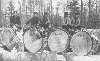 http_chronicle.tadl.org_history_import_Images_001_100909211001