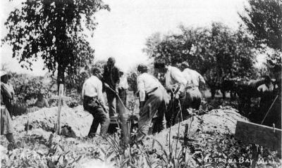 http_chronicle.tadl.org_history_import_Images_025_718000000903