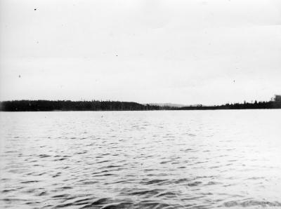 http_chronicle.tadl.org_history_import_Images_005_124802041025